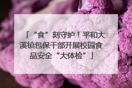 “食”刻守护！平和大溪镇包保干部开展校园食品安全“大体检”