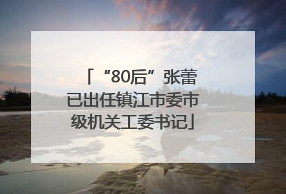 “80后”张蕾已出任镇江市委市级机关工委书记