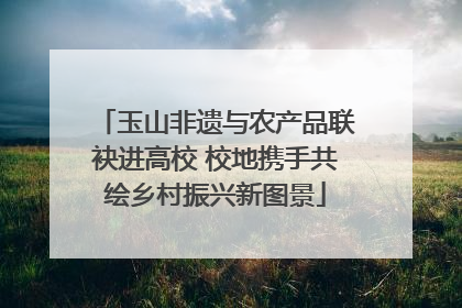 玉山非遗与农产品联袂进高校 校地携手共绘乡村振兴新图景