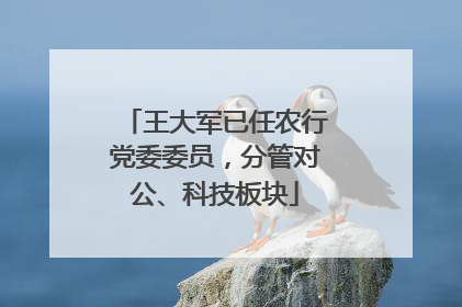 王大军已任农行党委委员，分管对公、科技板块