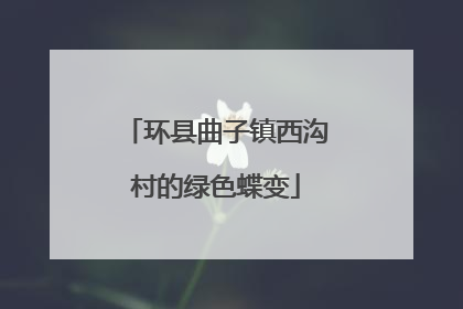环县曲子镇西沟村的绿色蝶变
