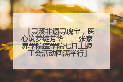 灵溪非遗寻瑰宝，医心筑梦绽芳华——张家界学院医学院七月主题工会活动圆满举行