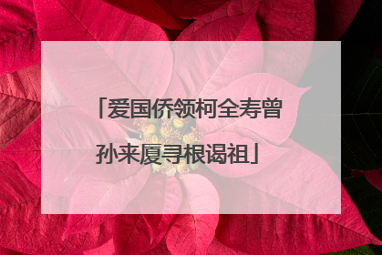 爱国侨领柯全寿曾孙来厦寻根谒祖