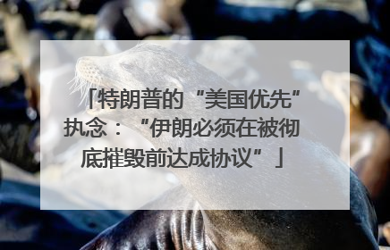 特朗普的“美国优先”执念：“伊朗必须在被彻底摧毁前达成协议”