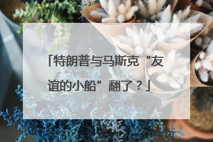 特朗普与马斯克“友谊的小船”翻了？