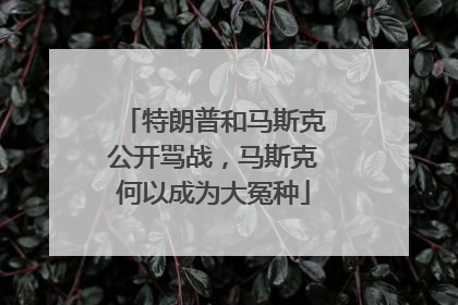 特朗普和马斯克公开骂战，马斯克何以成为大冤种