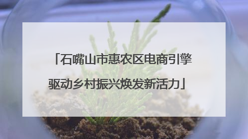石嘴山市惠农区电商引擎驱动乡村振兴焕发新活力