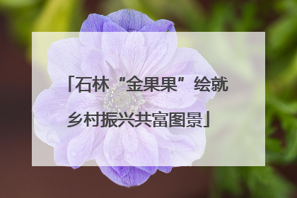 石林“金果果”绘就乡村振兴共富图景