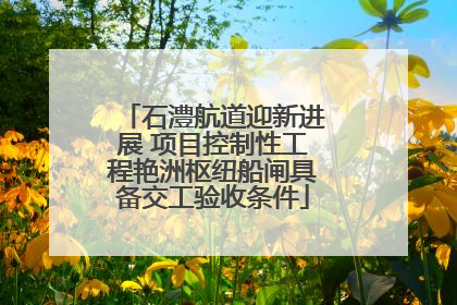 石澧航道迎新进展 项目控制性工程艳洲枢纽船闸具备交工验收条件