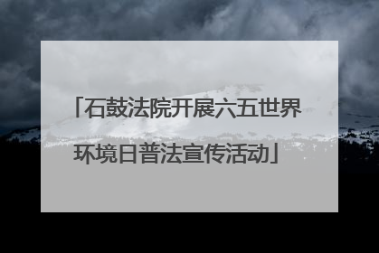 石鼓法院开展六五世界环境日普法宣传活动