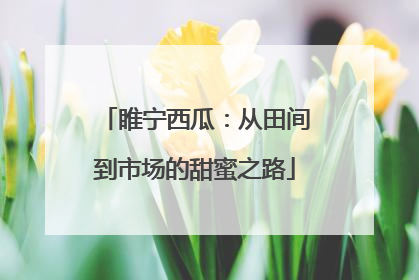 睢宁西瓜：从田间到市场的甜蜜之路