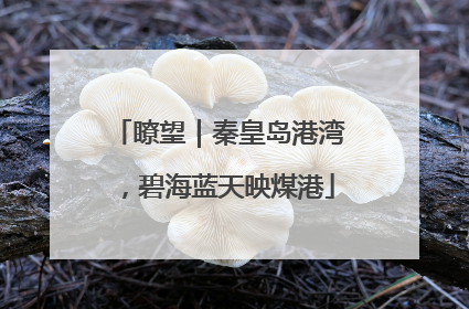 瞭望｜秦皇岛港湾，碧海蓝天映煤港