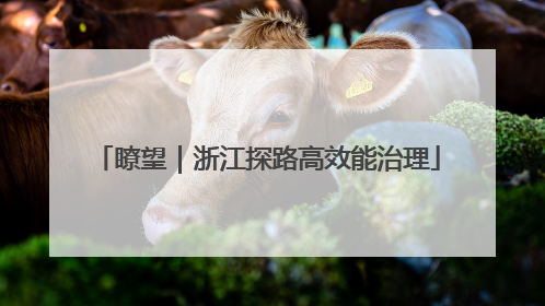 瞭望｜浙江探路高效能治理