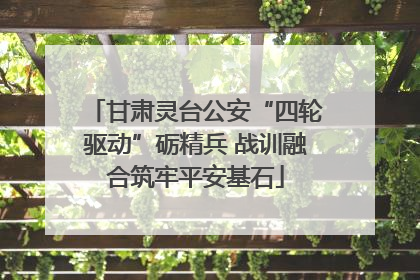 甘肃灵台公安“四轮驱动”砺精兵 战训融合筑牢平安基石