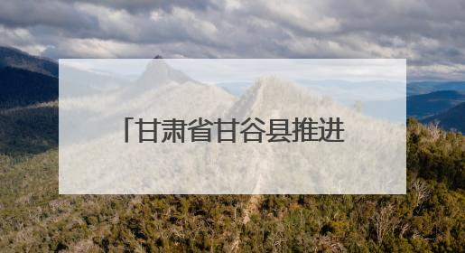 甘肃省甘谷县推进基础教育一体化发展——从“资源荒”到“满堂彩”