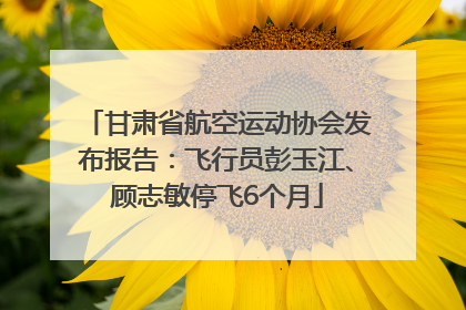 甘肃省航空运动协会发布报告：飞行员彭玉江、顾志敏停飞6个月