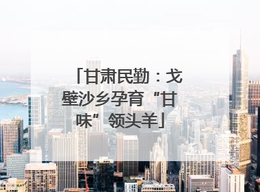 甘肃民勤：戈壁沙乡孕育“甘味”领头羊
