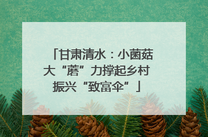 甘肃清水：小菌菇大“蘑”力撑起乡村振兴“致富伞”