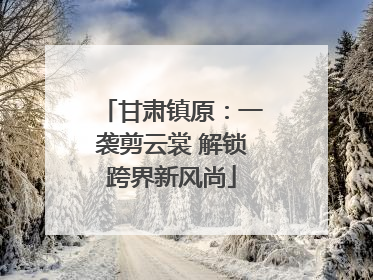 甘肃镇原：一袭剪云裳 解锁跨界新风尚