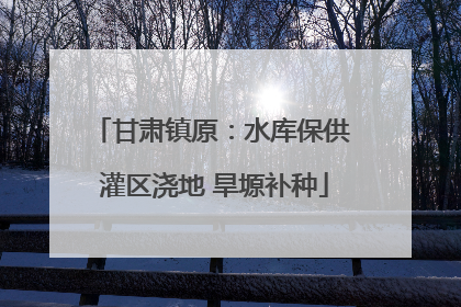 甘肃镇原：水库保供 灌区浇地 旱塬补种
