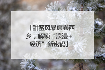 甜蜜风暴席卷西乡，解锁“浪漫+经济”新密码