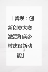 留坝：创新创意大赛激活和美乡村建设新动能