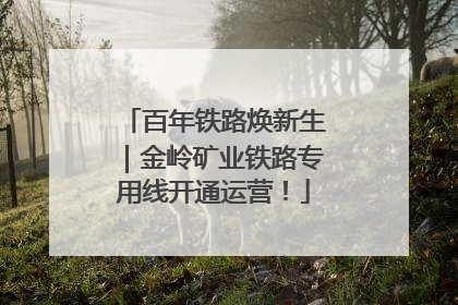 百年铁路焕新生｜金岭矿业铁路专用线开通运营！