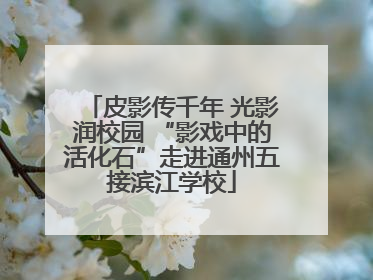 皮影传千年 光影润校园 “影戏中的活化石”走进通州五接滨江学校