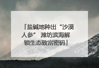 盐碱地种出“沙漠人参” 潍坊滨海解锁生态致富密码