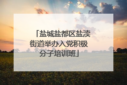 盐城盐都区盐渎街道举办入党积极分子培训班