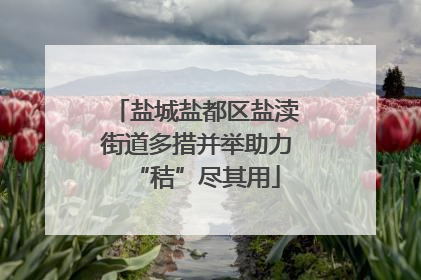 盐城盐都区盐渎街道多措并举助力“秸”尽其用