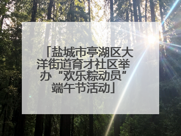 盐城市亭湖区大洋街道育才社区举办“欢乐粽动员”端午节活动
