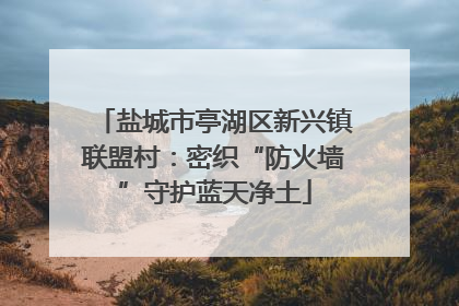 盐城市亭湖区新兴镇联盟村：密织“防火墙”守护蓝天净土