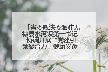 省委政法委派驻无棣县水湾镇第一书记 协调开展“党建引领聚合力，健康义诊惠乡亲”义诊活动