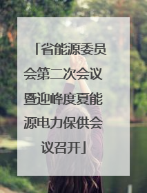 省能源委员会第二次会议暨迎峰度夏能源电力保供会议召开