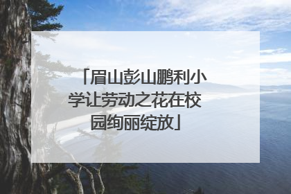 眉山彭山鹏利小学让劳动之花在校园绚丽绽放