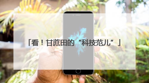 看！甘蔗田的“科技范儿”