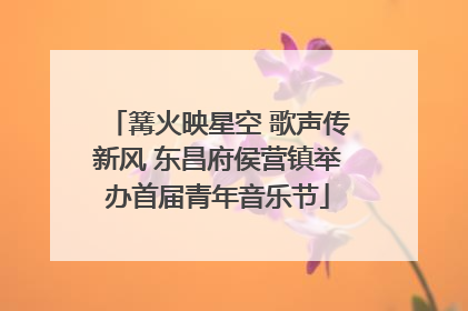 篝火映星空 歌声传新风 东昌府侯营镇举办首届青年音乐节