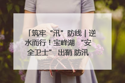 筑牢“汛”防线｜逆水而行！宝峰湖 “安全卫士” 出鞘 防汛应急再添硬核力量