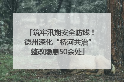筑牢汛期安全防线！德州深化“桥河共治”整改隐患50余处