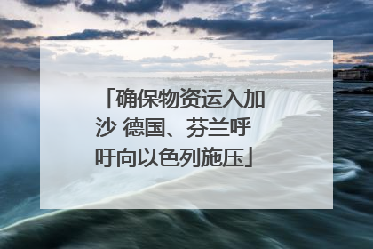 确保物资运入加沙 德国、芬兰呼吁向以色列施压