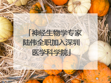 神经生物学专家陆伟全职加入深圳医学科学院