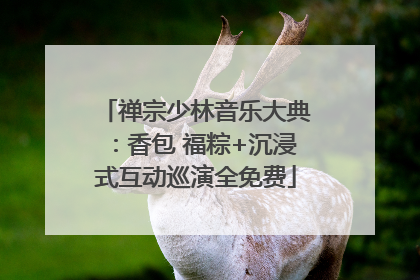 禅宗少林音乐大典：香包 福粽+沉浸式互动巡演全免费