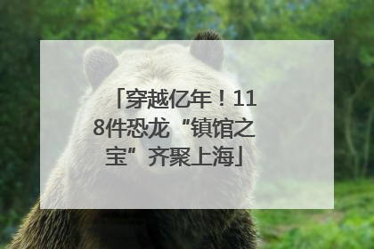 穿越亿年！118件恐龙“镇馆之宝”齐聚上海