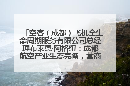 空客（成都）飞机全生命周期服务有限公司总经理布莱恩·阿格纽：成都航空产业生态完备，营商环境优势显著