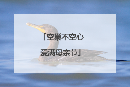空巢不空心 爱满母亲节