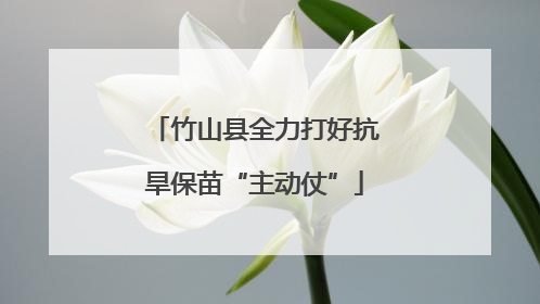 竹山县全力打好抗旱保苗“主动仗”