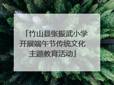 竹山县张振武小学开展端午节传统文化主题教育活动