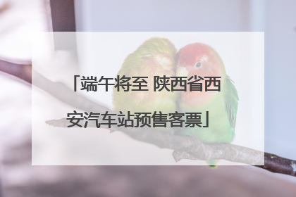 端午将至 陕西省西安汽车站预售客票