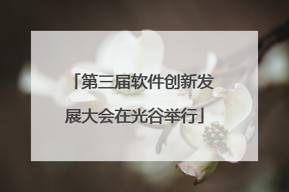第三届软件创新发展大会在光谷举行